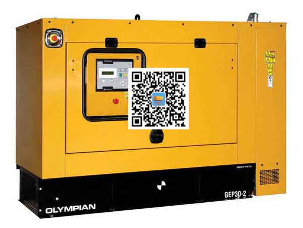 麻栗坡出租发电机组配置有哪些重要特点