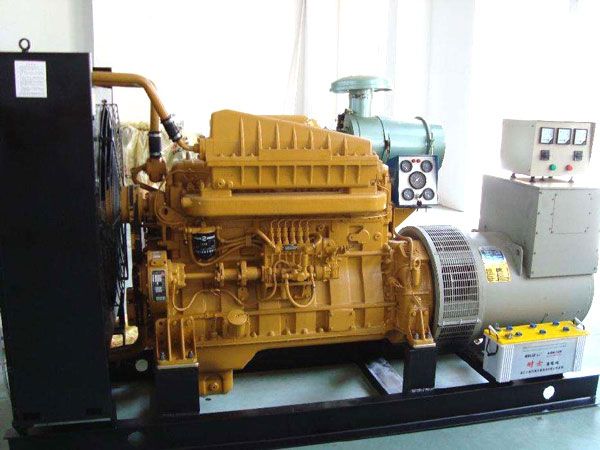 麻栗坡有哪些有效的方法可以预防柴油发电机组的蓄电池出现硫化现象？